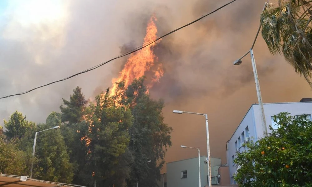 Χωρίς ενεργό μέτωπο η φωτιά στην Πάτρα – Παραμένουν ισχυρές δυνάμεις πυρόσβεσης για τυχόν αναζωπυρώσεις